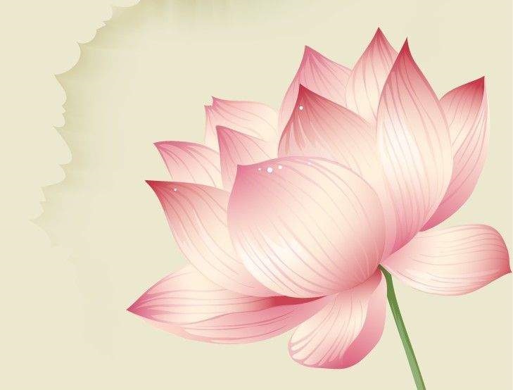 d1a4f0facffa12fab58f31e6 副本